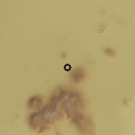Shaded relief of the 59 km around Phalombe, drawn from the GMTED2010 grid